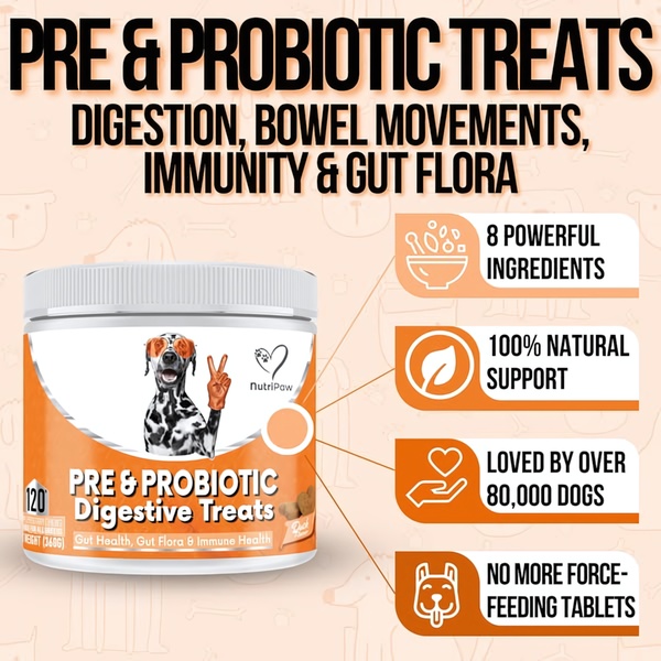A square-format product ad featuring a clear list of benefits, ingredients, and social proof alongside the digestive treat tub.